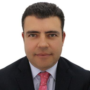 Somos una firma de consultoría y asesoría, cuyo objetivo fundamental es dar apoyo a la gestión de las organizaciones que deseen ser más eficientes y de calidad
