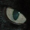 Snortan's profile picture. 