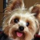 Anthony Watt - @Antknee123 - Twitter