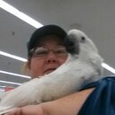 Jackie Bowlin - @71jbowlin - Twitter