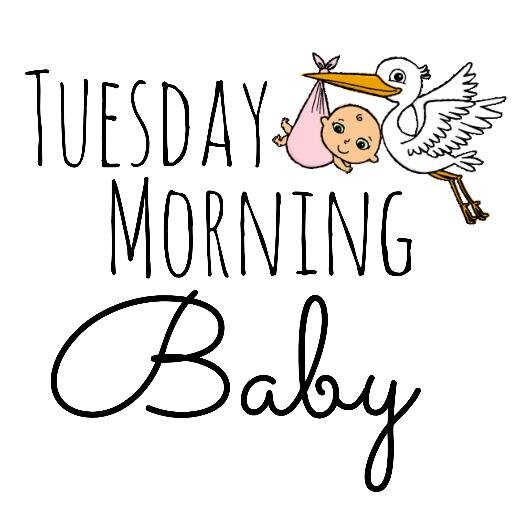 tuesdaymornbaby's profile picture. Founder/Creator of Sugar & Sass and Tuesday Morning Baby