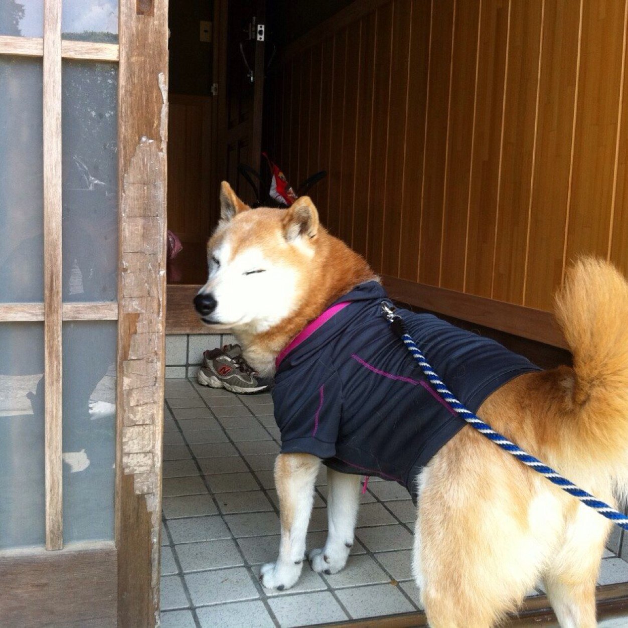 javac20007's profile picture. 