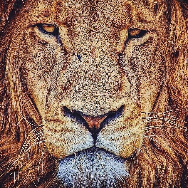 ttt66672's profile picture. 