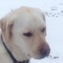 Malcolm McKay  - @MalcolmMcKay311 - Twitter