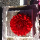 Karen Slusher - @ksslush - Twitter