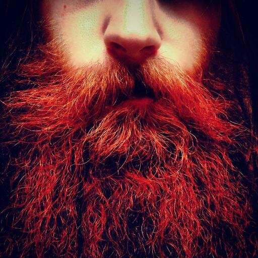 StoneFurlips's profile picture. i grow beards.