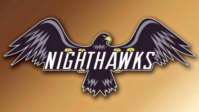 4x GB 4v4 Champion. PGL $4000 winner. 2nd at RTX. NightHawks are a competitive FPS Team. Feared by many.