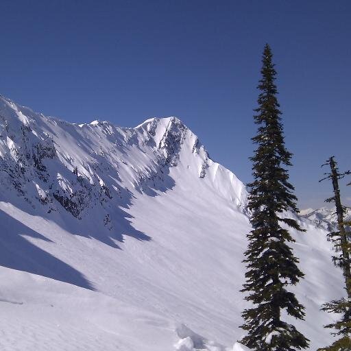 JesseEklund's profile picture. 