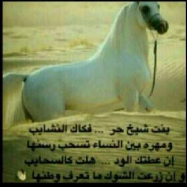 اخذت من عز ابوي وعز جداني  واخذت منهم طناخة رأس و حميّه   صحيح انا بنت ي اللي تجهل اوطاني  لكن ناري من صدوف الزمن حيه