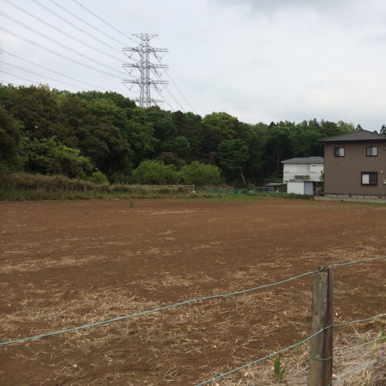 ガンストやってる。あと麻雀とか