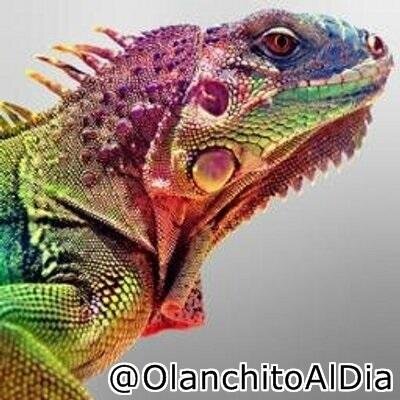 Sucesos y noticias regionales de Olanchito y el Valle Aguan te informamos al instante