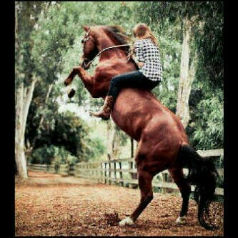 Con un angel en cielo,Abogada, Venezolanisima, Amante del Coleo y los Caballos..! Agradecida con Dios♥