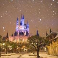 nanmomsas41987's profile picture. 真面目な出会いがいいですー＼(^-^)／既婚者はごめんなさい 望む相手:自分が丸いので細い誠実な人w マイブーム:SUPER JUNIORにハマってます＼(^-^)車:あり… http: