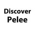 Discover Pelee (@discoverpelee) Twitter profile photo Discover Pelee (@discoverpelee) Twitter profile photo