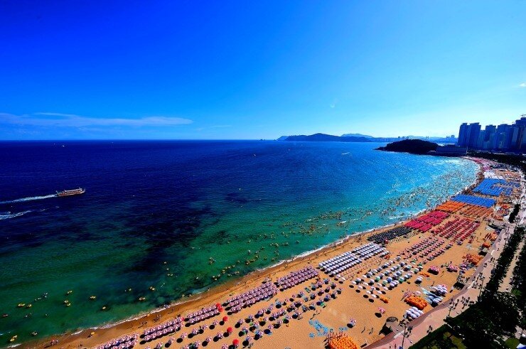 malcolmx5555's profile picture. 부산사람이고 계속 부산에 살고 싶은 사람입니다.