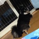 安達隆之介 (@13Fielder) Twitter