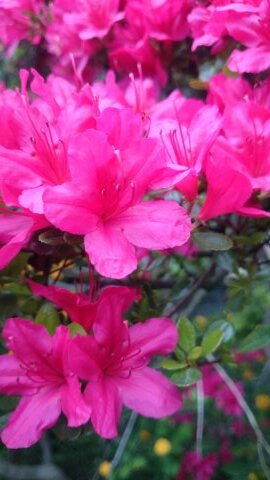 KtrThe's profile picture. 