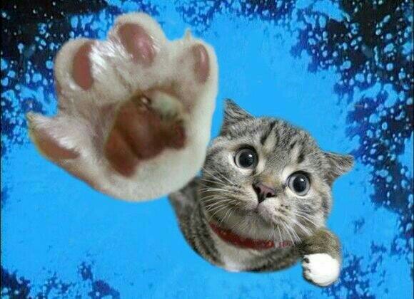 jinnonouen's profile picture. お仕事は、蘭(シンビジューム)農家。
好きなアーティスト、聖飢魔II、小柳ゆき、森恵、冨田麗香、河原崎辰也。
マイナーだっていいじゃない！