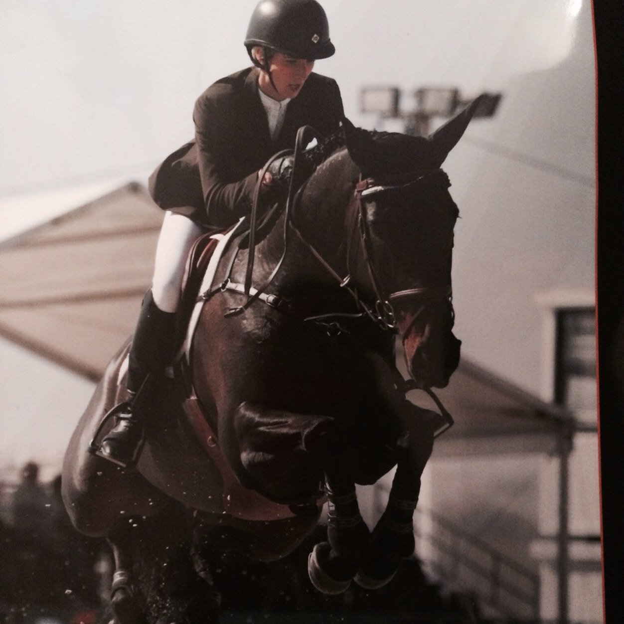 carolinebreen1's profile picture. Breen Sport Horses Ltd.
Training, Sales and Showjumping Competition stables.
Based just outside London.