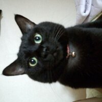 松井 圭子 (@kay_matsui) Twitter profile photo