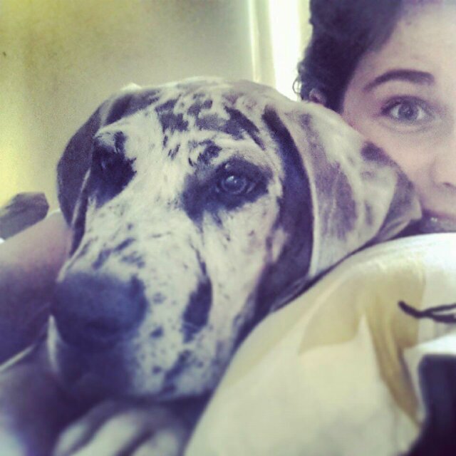 _mascini's profile picture. I live intertaiment is lyf