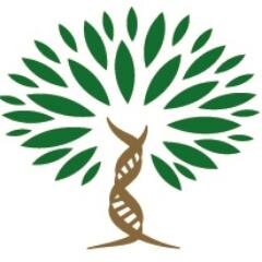 AntiAgingRU's profile picture. Клиника предиктивной медицины