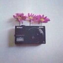 Nawal (@008_noon) Twitter