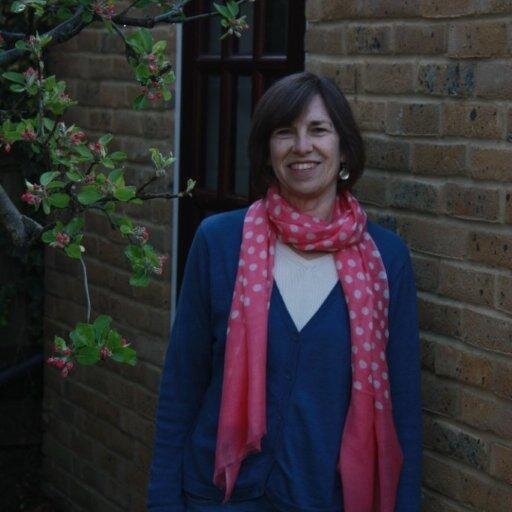 Harrietgrace65's profile picture. Writes novels, poems. Shortlisted for Rubery Book Award. Career coach specialising in career change. Loves wild swimming, books, films. Against airport growth.