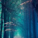 Stella Mackenzie - @StellaWhq - Twitter