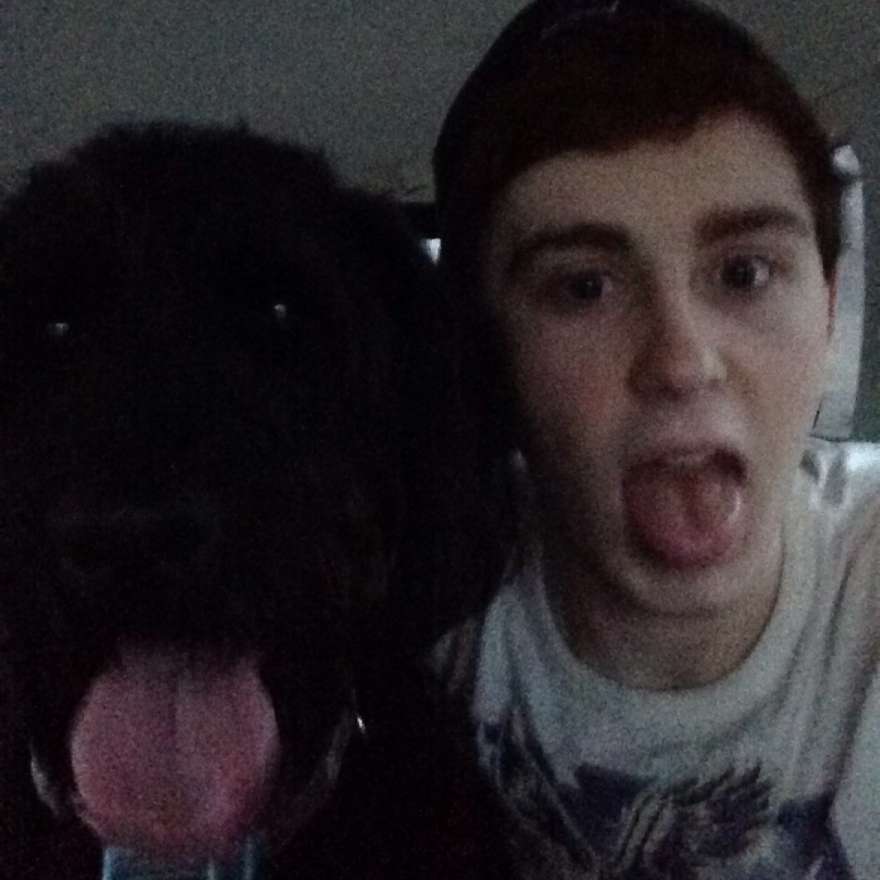 MatGuitard Profile Picture