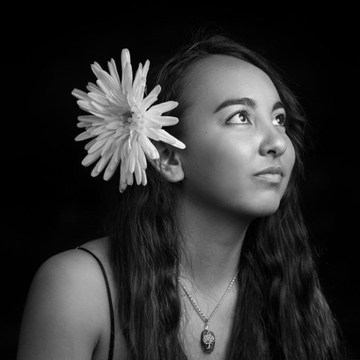 stefasaurus32's profile picture. 