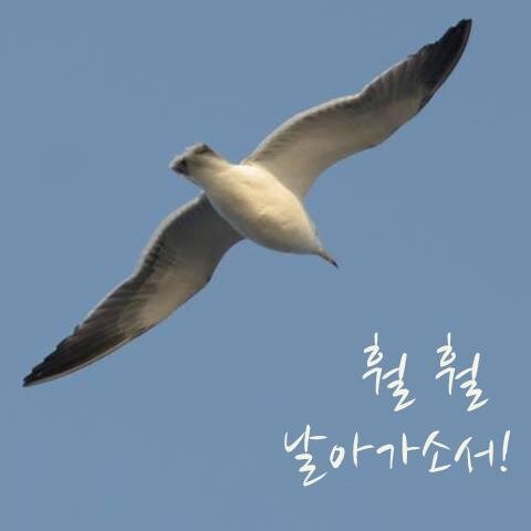 소리짓는 이(Music Composer) 입니다. 예술로 행복한 세상을 꿈꾸는 나이먹은 철부지... 사람과 모든 생명들은 경쟁의 대상이 아니라 조화의 대상이라 믿고 그렇게 살려고 애쓰는 몽상가... 그래서 가진것 하나 없이 이미 부자가 되어버린... 맘 편한 바보