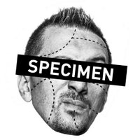 Муарко (@muarko) 's Twitter Profile