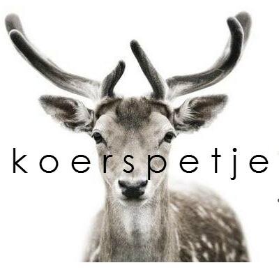 'Koerspetje.nl de ideale aanvulling op de garderobe  van goedgeklede wielrenners en casual trendsetters'
