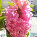 Kang - @Daniel_bible - Twitter