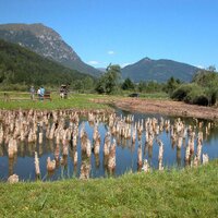 Beni archeologici Trento (@beniarcheo) 's Twitter Profile