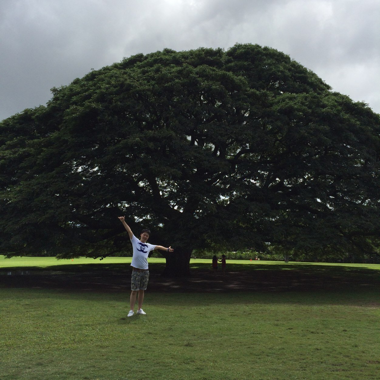 daiking3bigboy's profile picture. ( ´ ▽ ` )