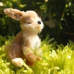 gtjapaan's profile picture. 