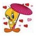 Yogesh Rodi (@yogeshrodi) Twitter profile photo Yogesh Rodi (@yogeshrodi) Twitter profile photo