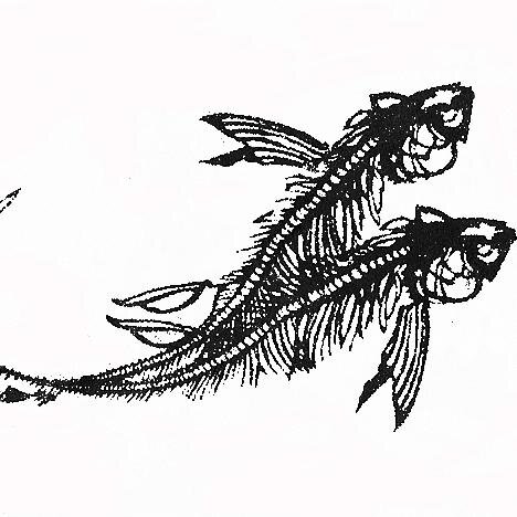 Black Rat Projectsさんのプロフィール画像