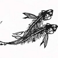 Black Rat Projects (@blackratgallery) 's Twitter Profile Photo