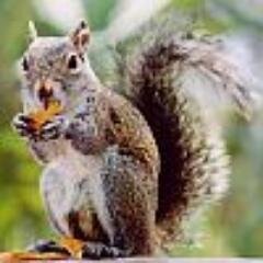 unoplitokdell Profile Picture