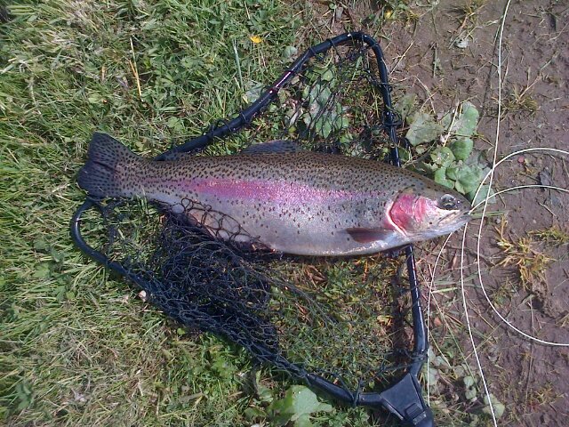 Love all types off fishing and my kids mean the world to me.