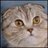stanesunvialgab's profile image