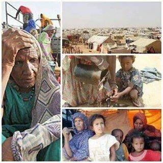 Taziderttofa's profile picture. Juriste, amateur du voyage