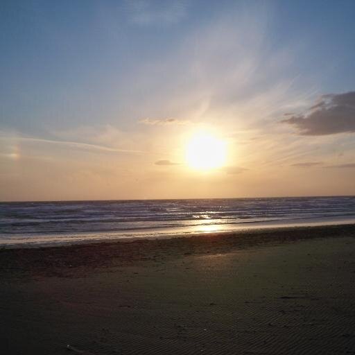 NicolaFarmer1's profile picture. 