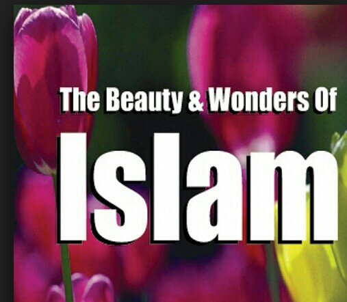whay islam ? its time to know the truth
