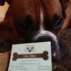 Homemade doggy biscuits and treats. Toys and beds and collars and leads!  
http://t.co/pvXdnERiLq
Order yours today :)