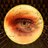 sanchezandre's profile image