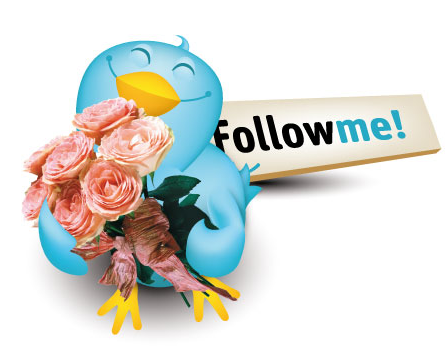 florarie online, flori, aranjamente florale, plante